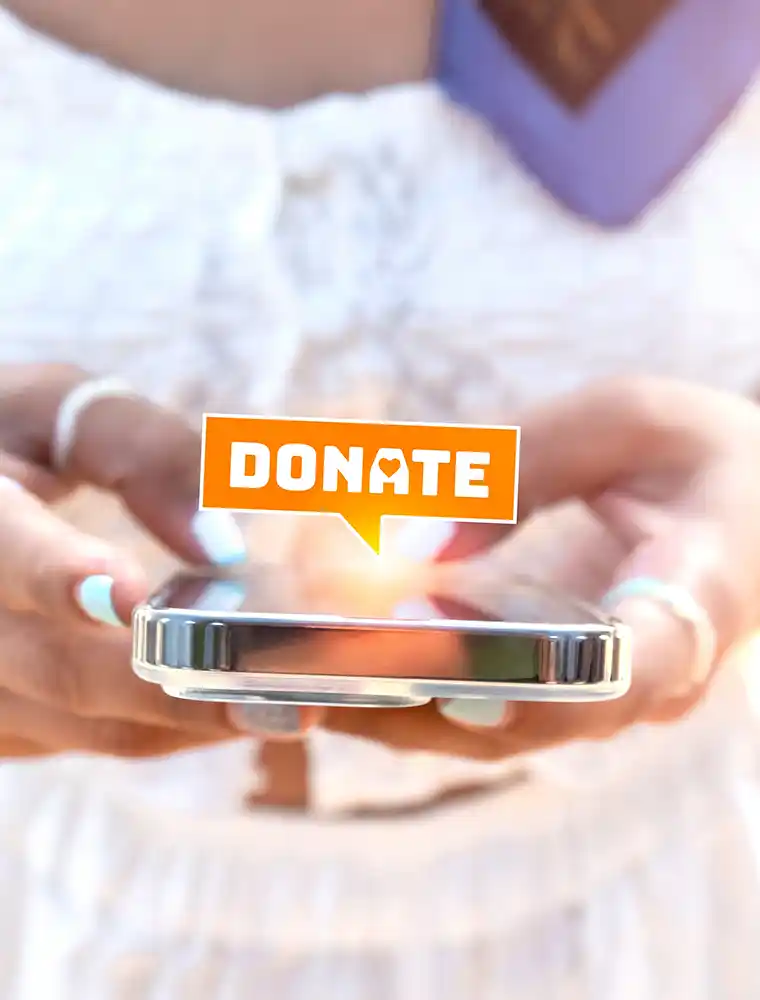 donate icon bubble appear smart mobile phone